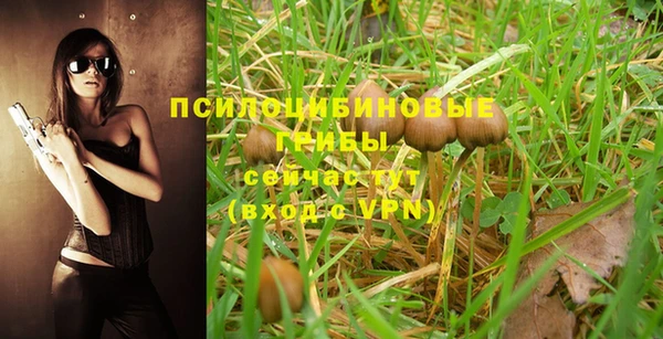 mdpv Кодинск