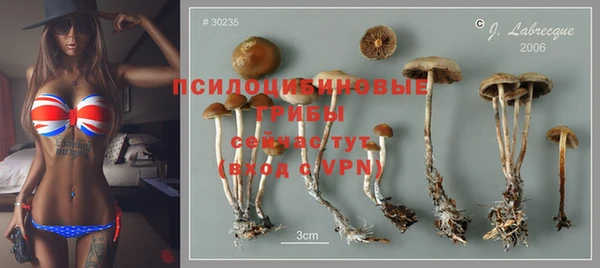 mdma Козельск