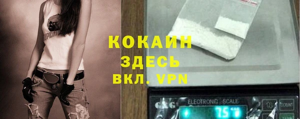 mdpv Кодинск