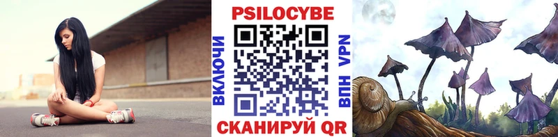 Галлюциногенные грибы Psilocybe  Эртиль 